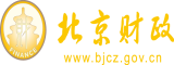 一插二亲三摸的视频北京市财政局