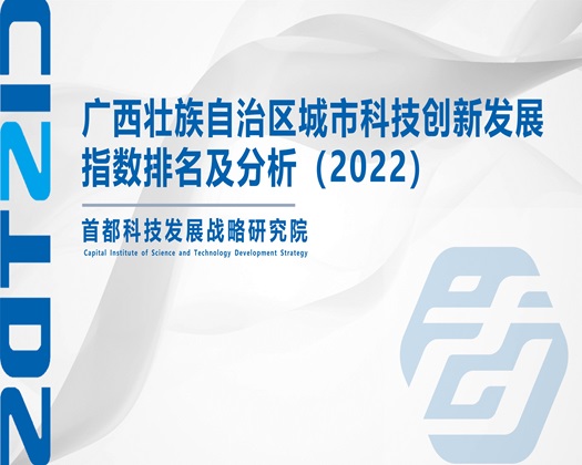 日本插逼黄色大片【成果发布】广西壮族自治区城市科技创新发展指数排名及分析（2022）